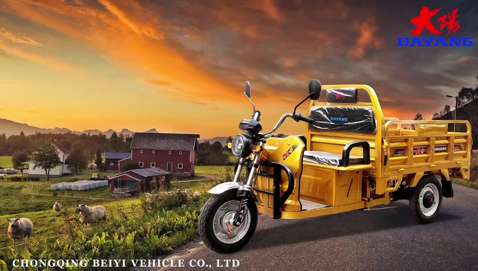 DY-160-1  2021 Cheaper Strong power 60V 1000W electric tricycle cargo