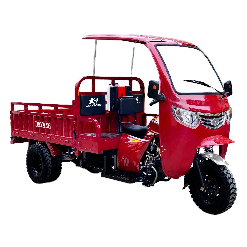 DAYANG New Design Motorized Adult Passenger Cargo Tricycle 3 Wheel Bike Taxi Tuk Tuk Cart for Sale in global market automatic