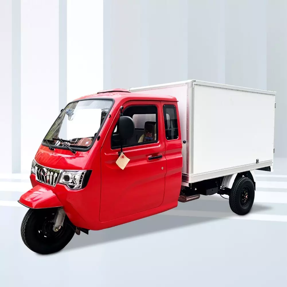 DAYANG Popular Model 800cc automobile water engineThree Wheel Cargo Tricycle China Max Red Body  Power Battery Engine Cool