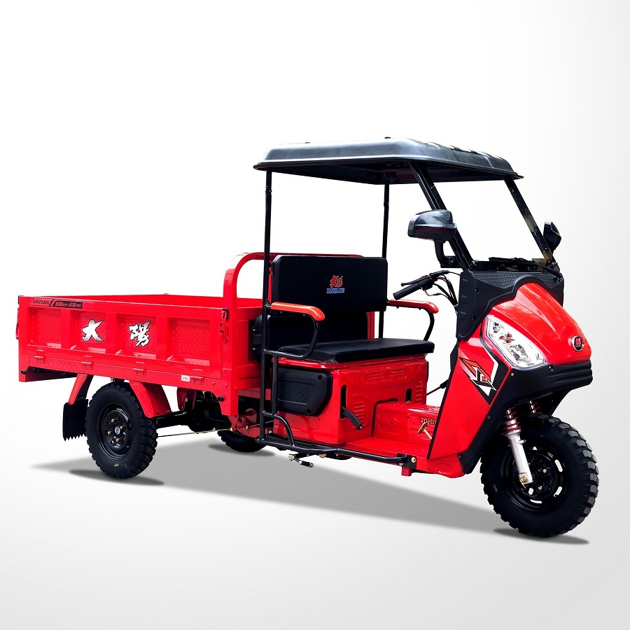 2022 New Model Tricycle Popular Adults strongest gasoline powered covered cargo van tricycle