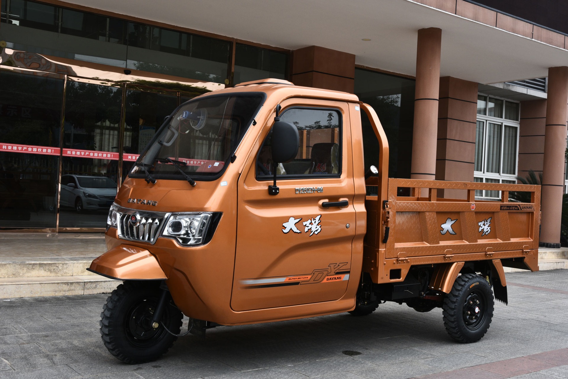 DAYANG Adult  300CC Water Cooling Customized  Three Wheel Tricycle For Cargo Heavy Load enclosed