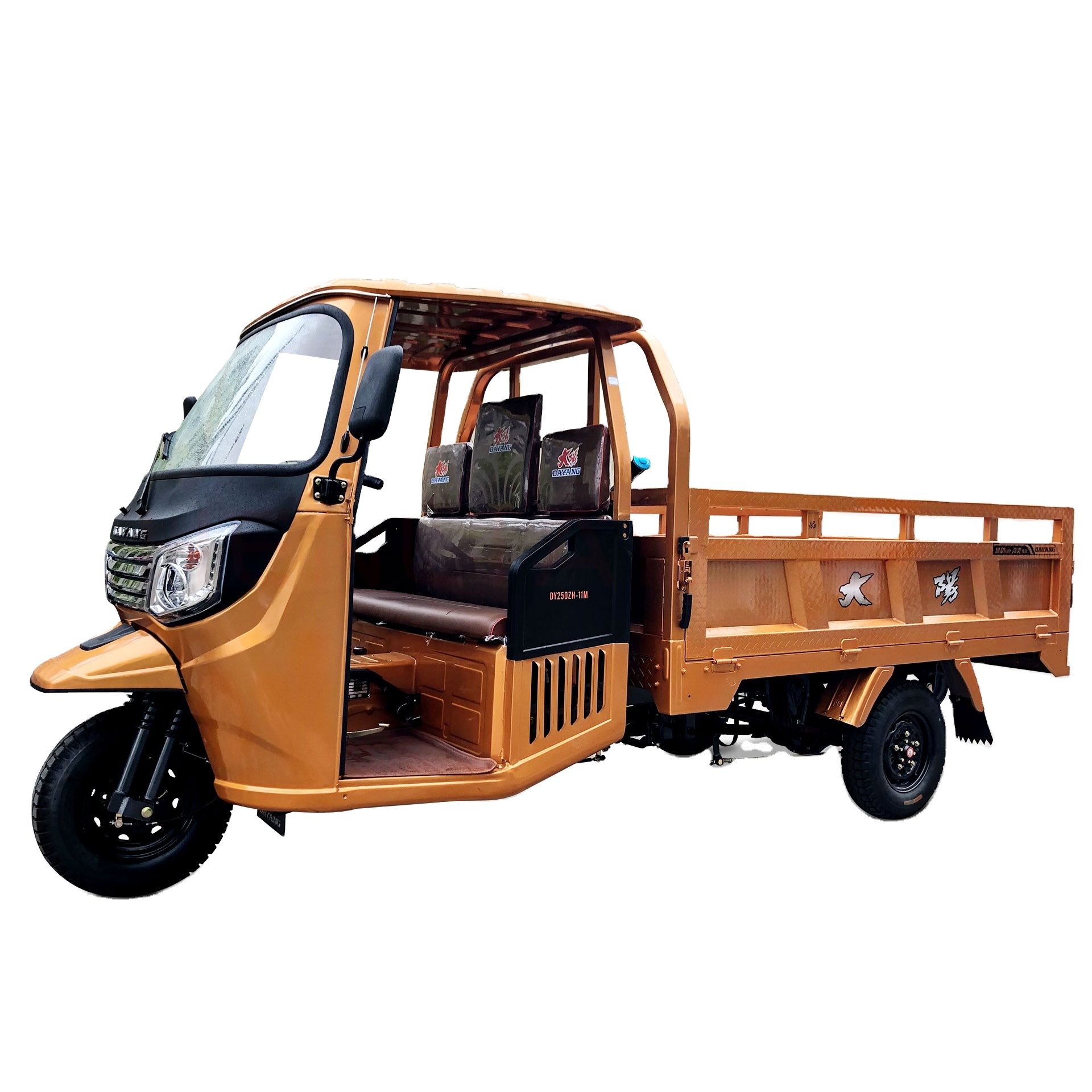 DAYANG Factory directly supply 200cc water cooled engine Ghana Cargo E Tricycle Gasoline Loading Rickshaw