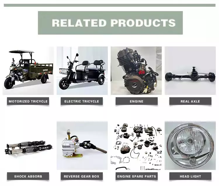 Well sell Brand New Cargo Motorized 200cc water engine Arrival high cost performance Price Cargo Trimoto Customized  for global