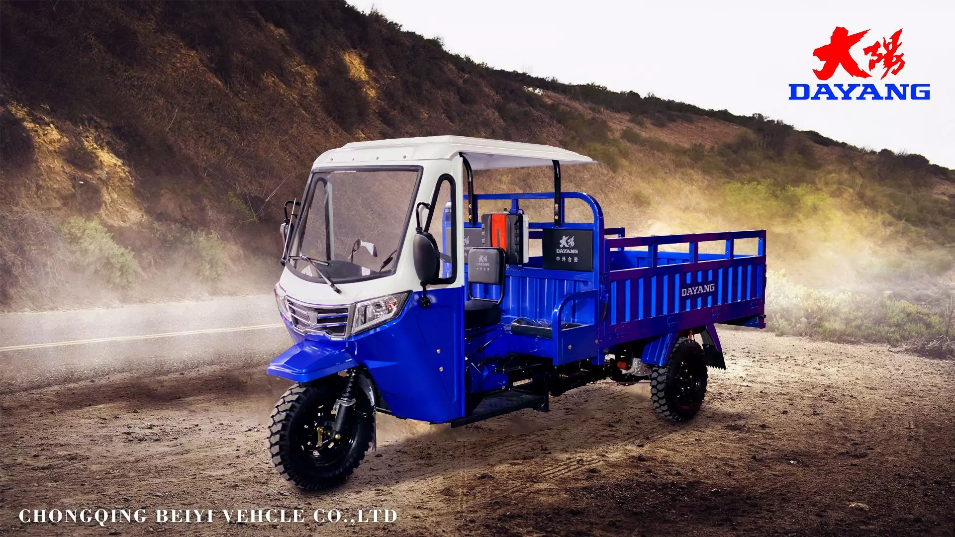 DAYANG High Quality Heavy Duty petrol Cargo Cabin Motor Tricycle Customized Large Size Tricycles Price for global