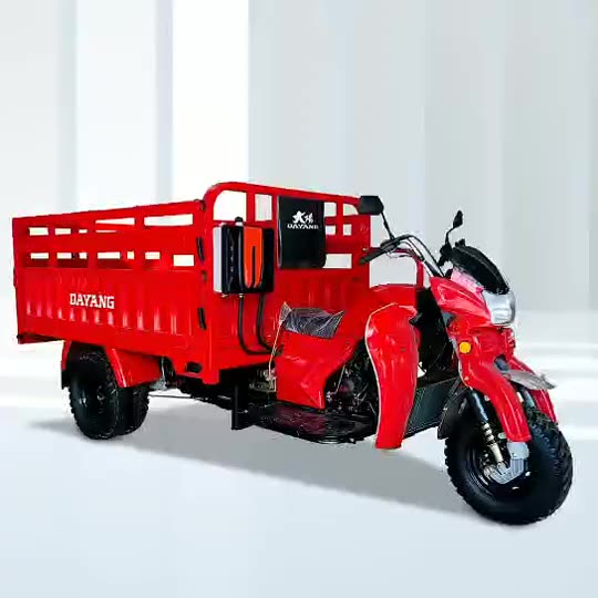 Adults valve mobility super powerful 250cc zongshen water cooled engine heavy duty five wheels cargo tricycle