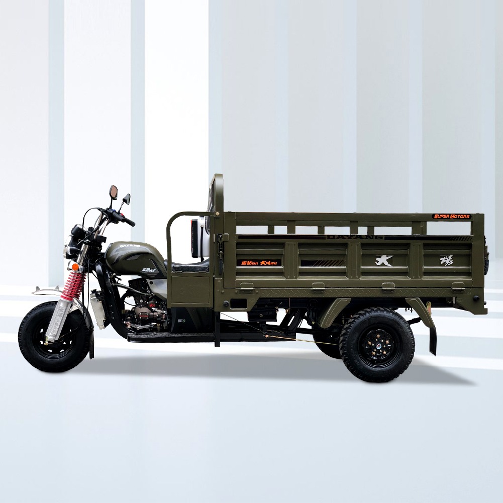 The Best China brand factory Customized Fat Tire Three Wheels Adult motorized Tricycle With Double Railings