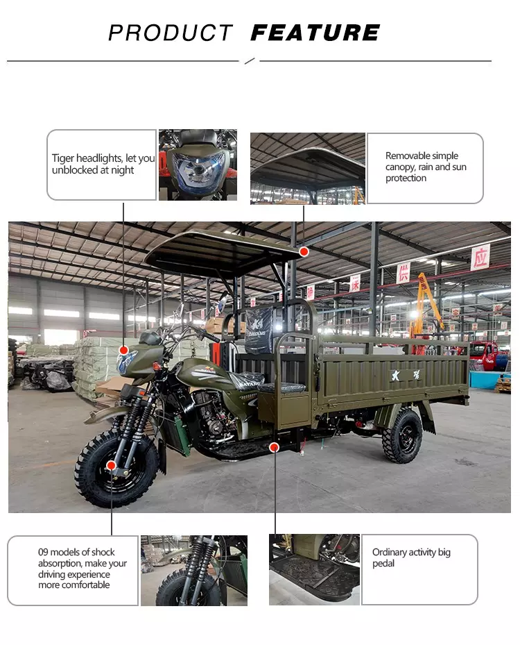 Cheap Petrol three wheel gas powered new 300cc trimoto carga cargo tricycle trike elderly for global market