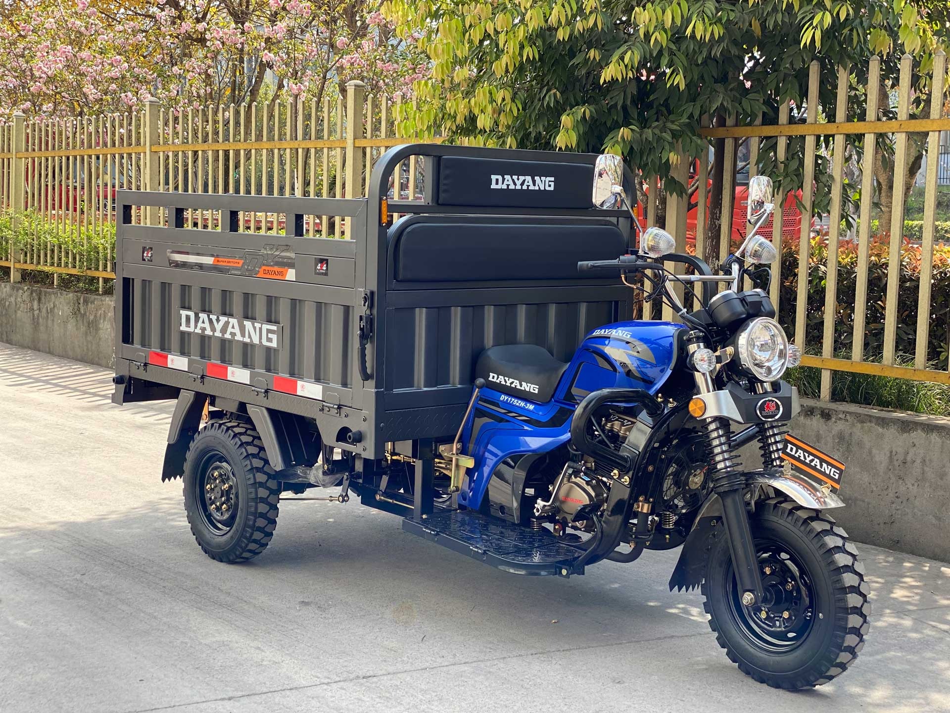 DAYANG heavy carry load motorized customized 200cc moto  afrique cargo price sudan tricycle tuk tuk