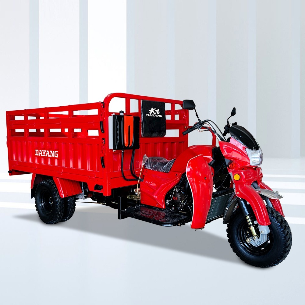 2021 Cargo Open Body Type dayang motor tricycle car 250cc petrol gasoline motorized cargo tricycles