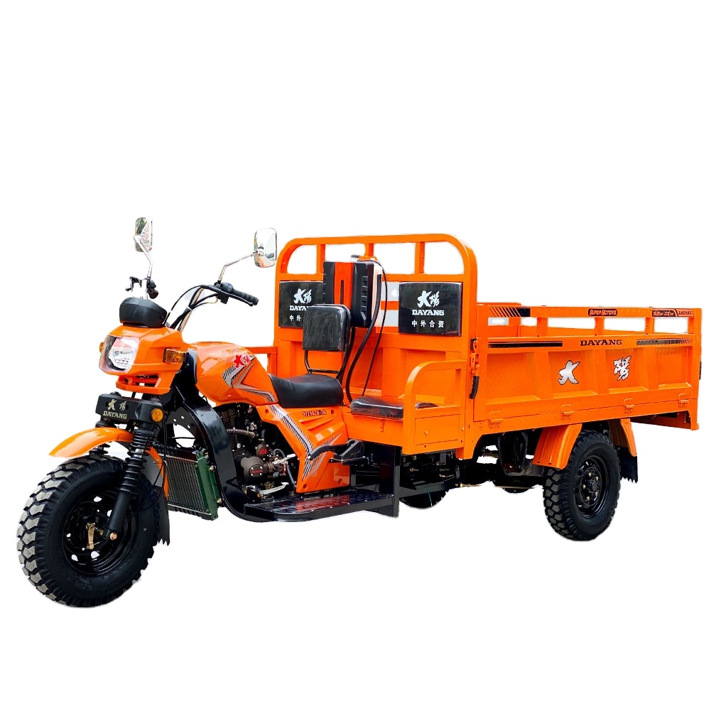 DAYANG New High popularity 3 wheel gasoline petrol excellent powerful engine 300cc farm ticycle cargo