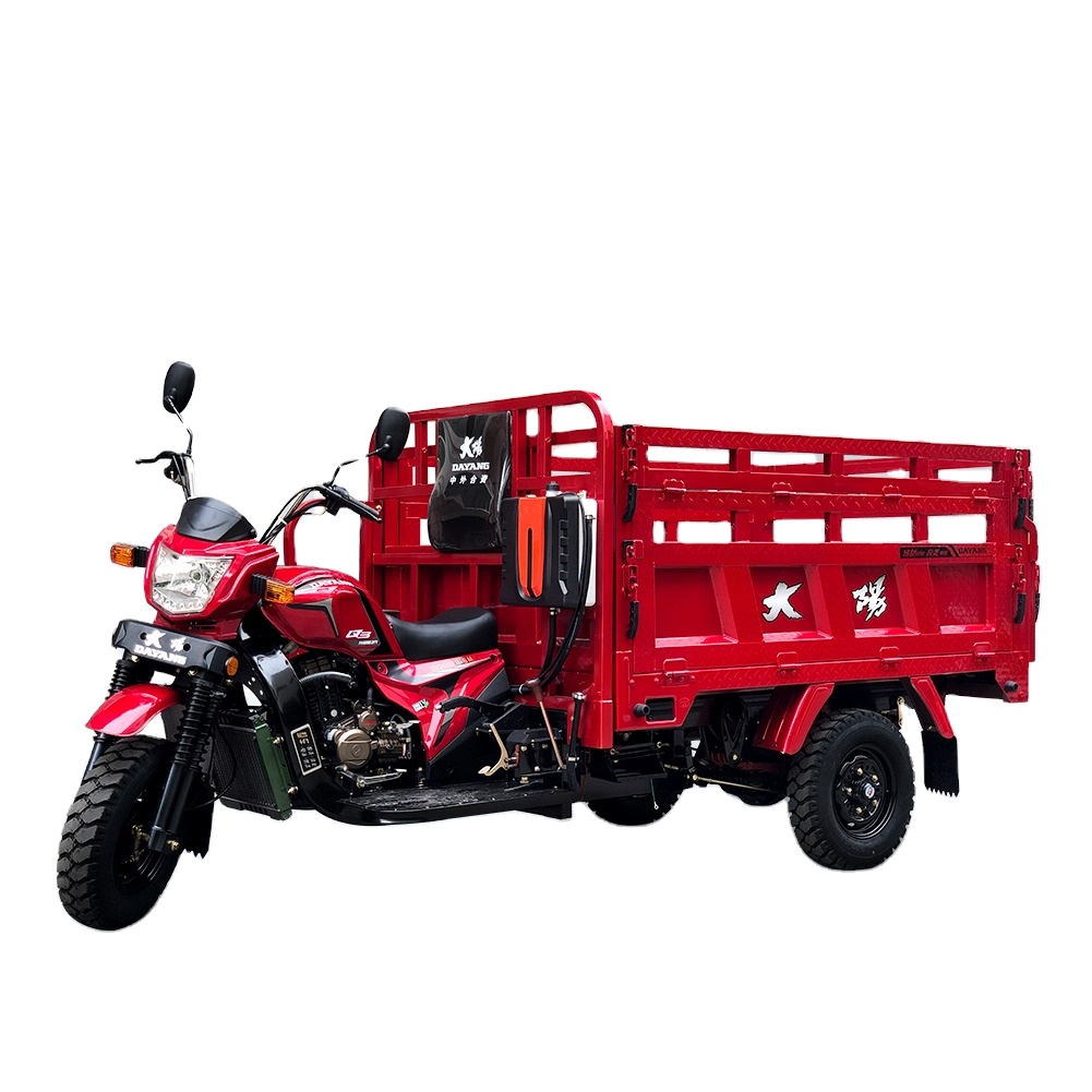 DAYANG hot selling truck dayang tricycle 3 wheels motorcycle models at Peru with 200cc/250cc/300cc powerful engine