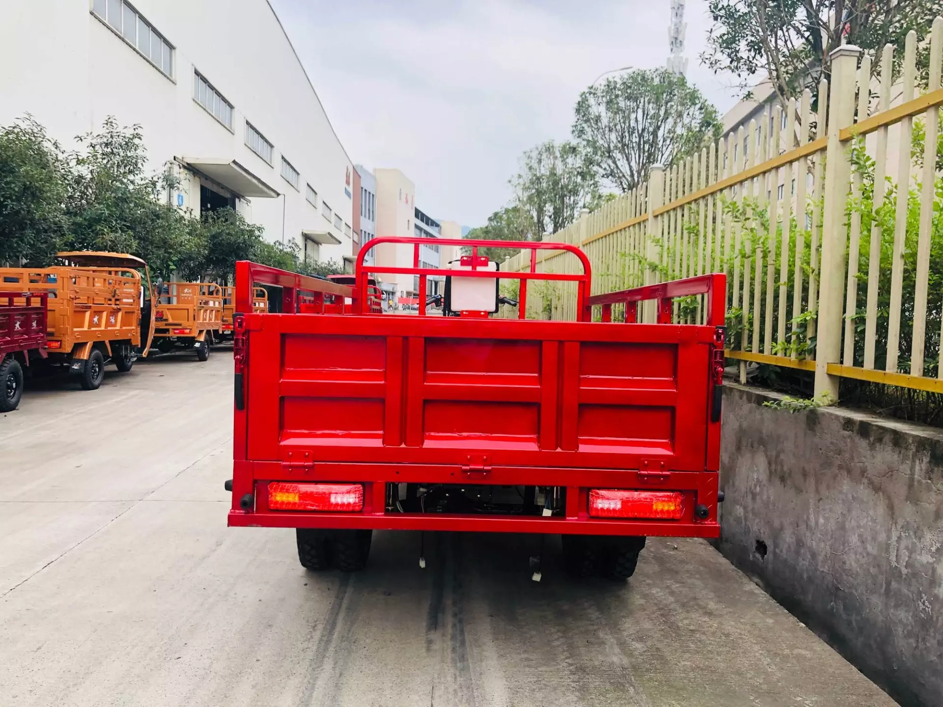 China DAYANG 3 wheels farm vehicle heavy duty loading motorcycles 20cc power engine tricycle red body box packing color brake