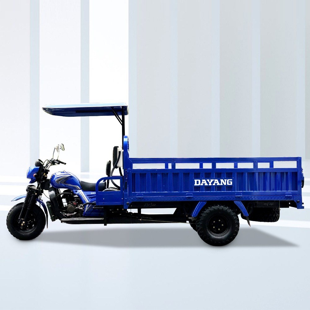 Cheap Petrol three wheel gas powered new 300cc trimoto carga cargo tricycle trike elderly for global market