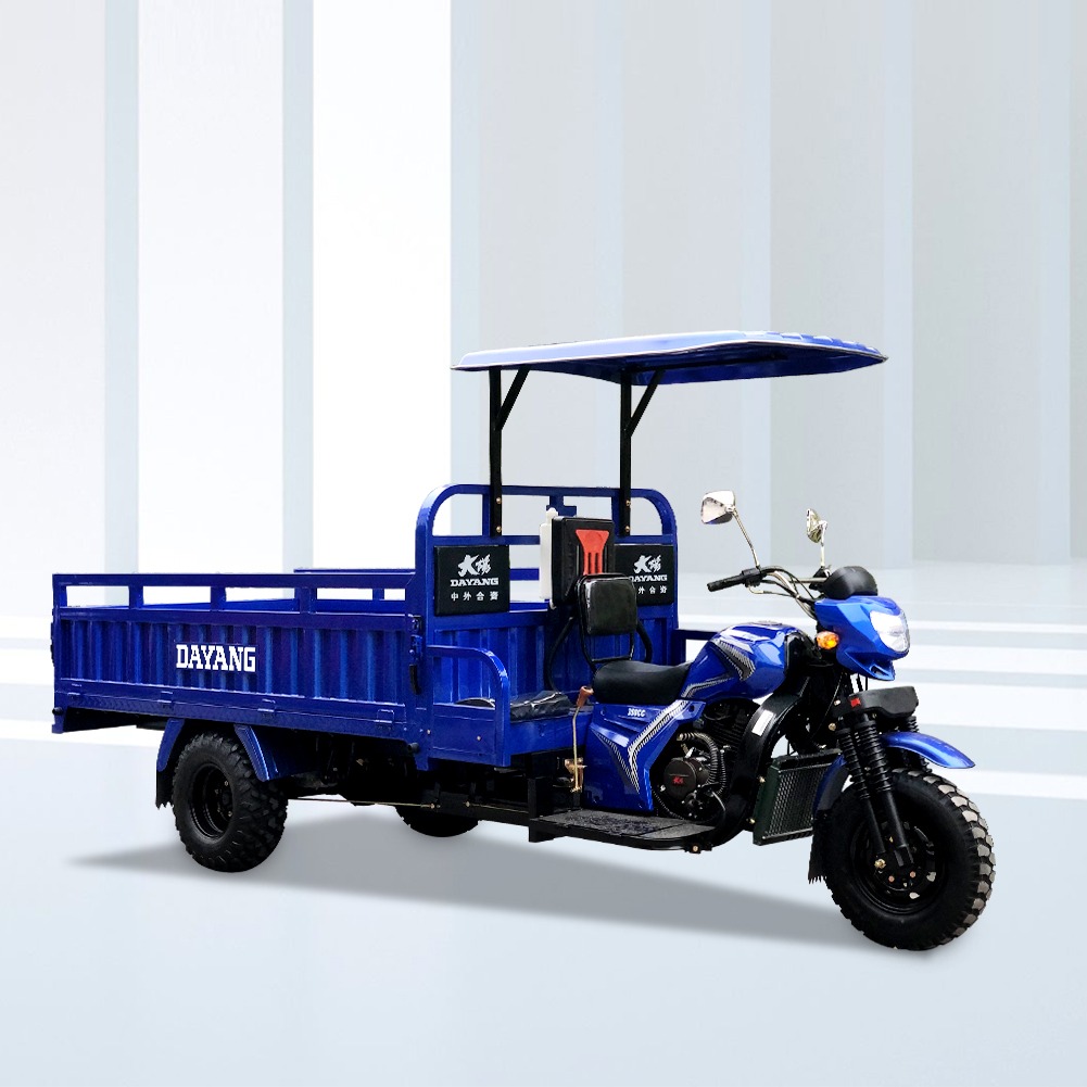 China hot selling mali 200cc engine heavy loading cargo box gaso farming truck cargo tricycle
