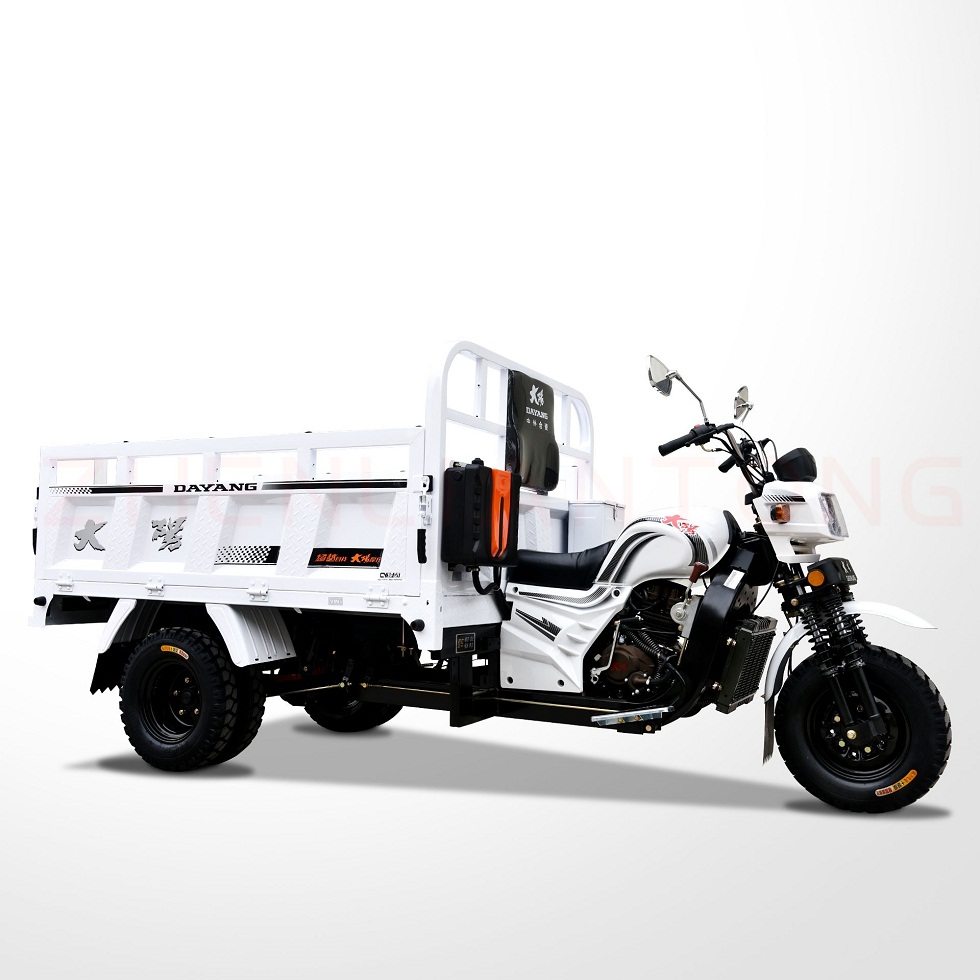 Chinese factory wholesale low price adult lifan 200cc heavy load delivery van cargo tricycle