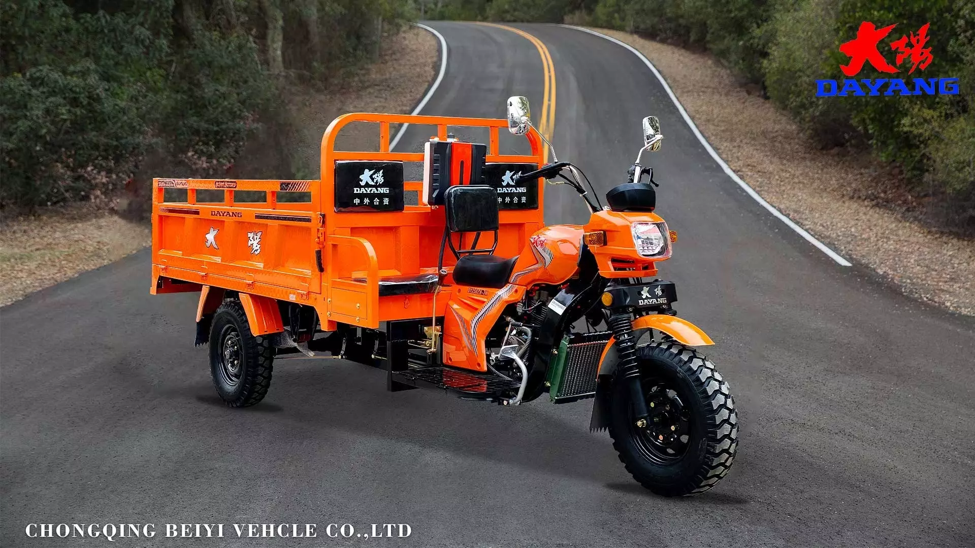 China DAYANG high quality new design  farm petrol motorized cargo motor tricycle 150cc zongshen