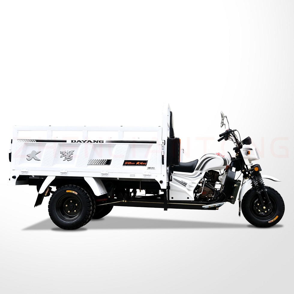 New design lamp 3 wheel motorcycle 150cc 250cc hot gasoline engine heavy load cargo scooter tricycle