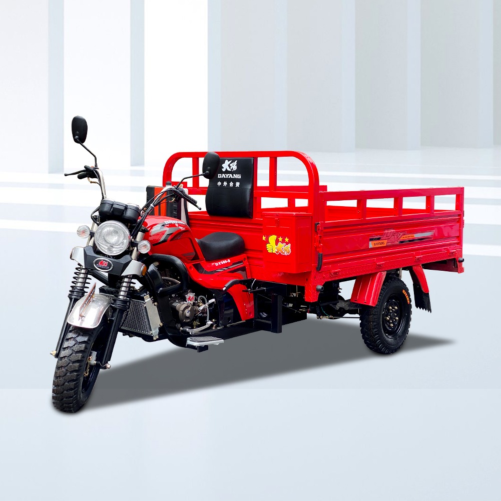 DAYANG High Stability sales long Range cheap moto 1 piece 3 wheel dayang petrol engine tricycle cargo bike
