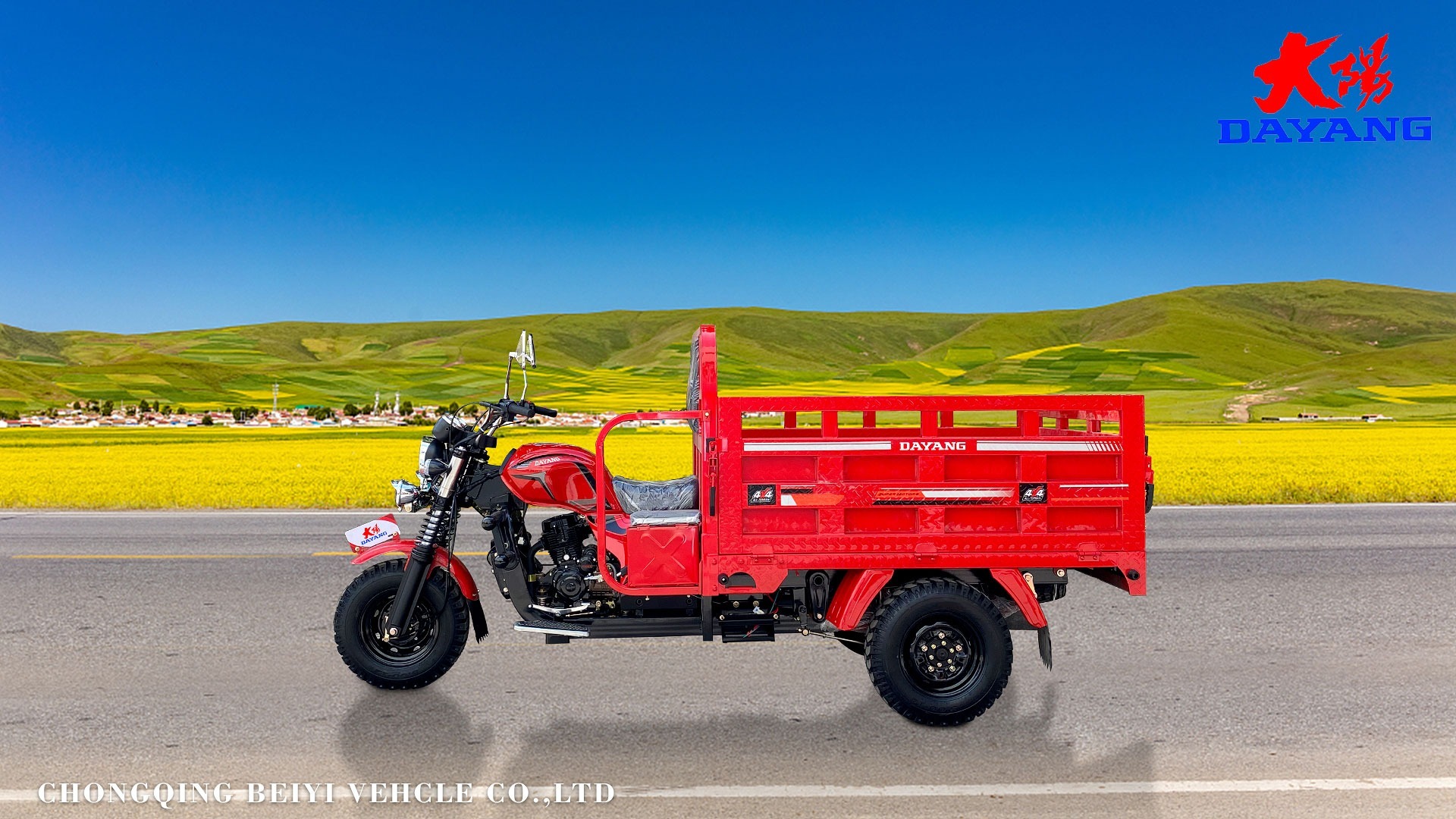 3 wheel cargo motorcycle 200CC engine