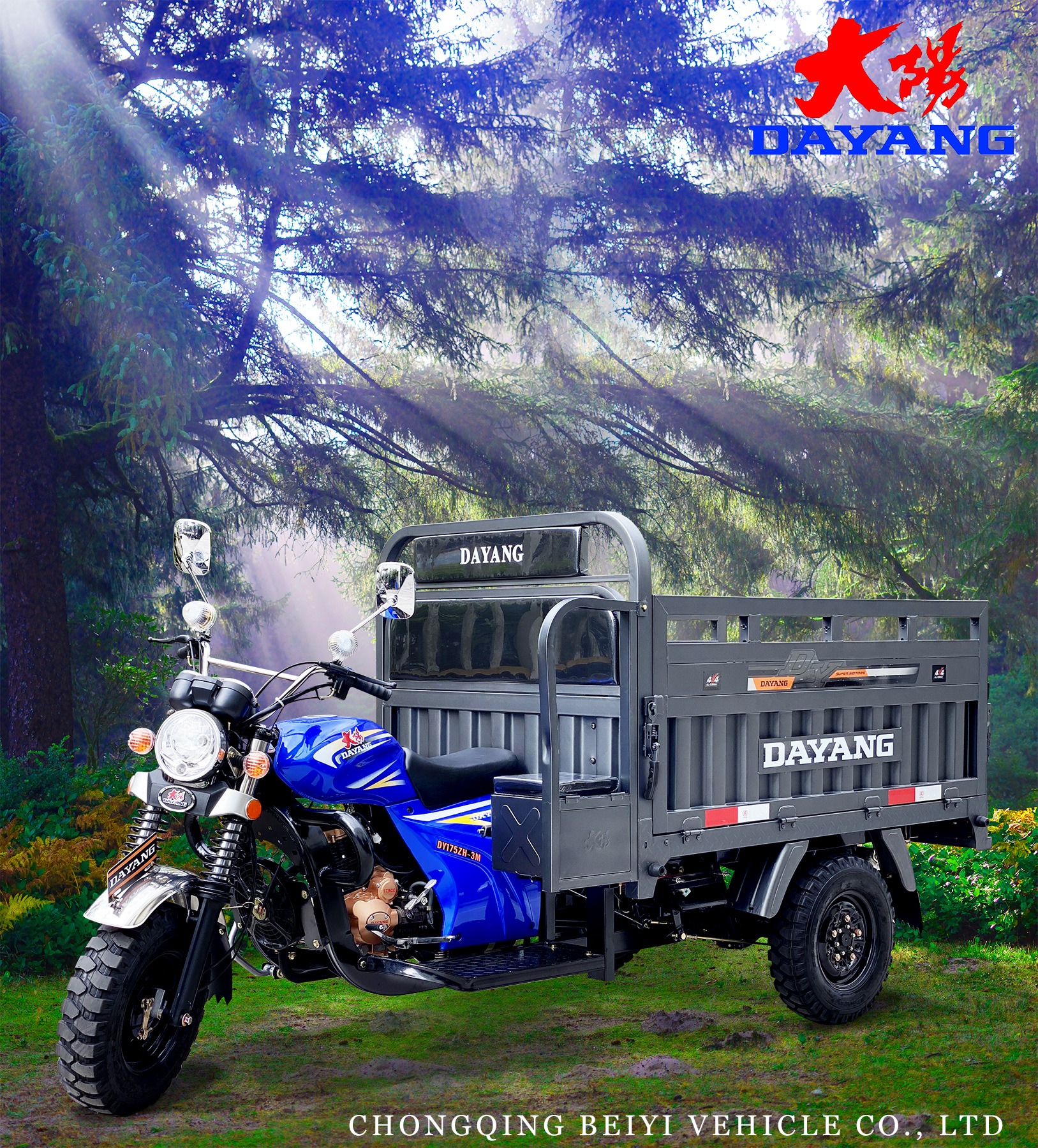 Three Wheel Cargo Motorcycle 250CC