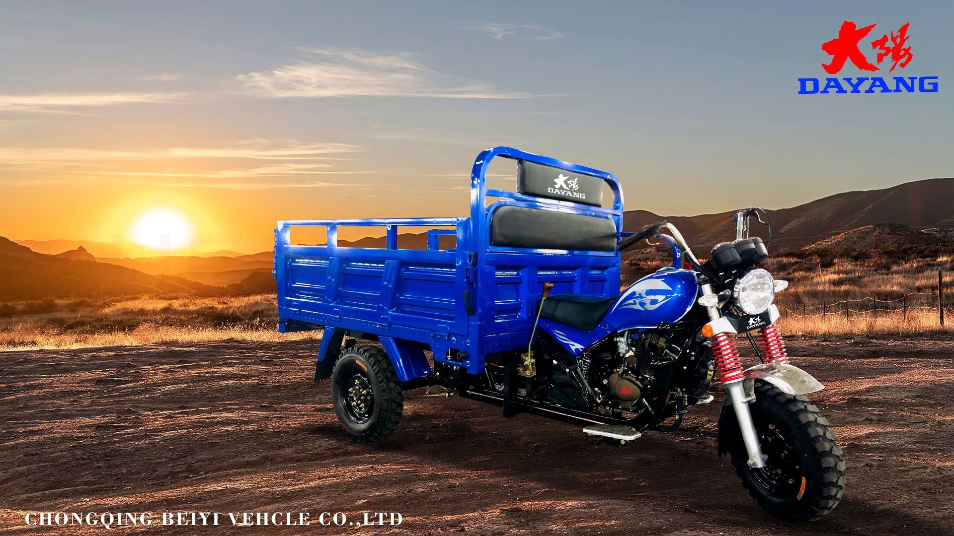 Three Wheel Cargo Motorcycle 250W