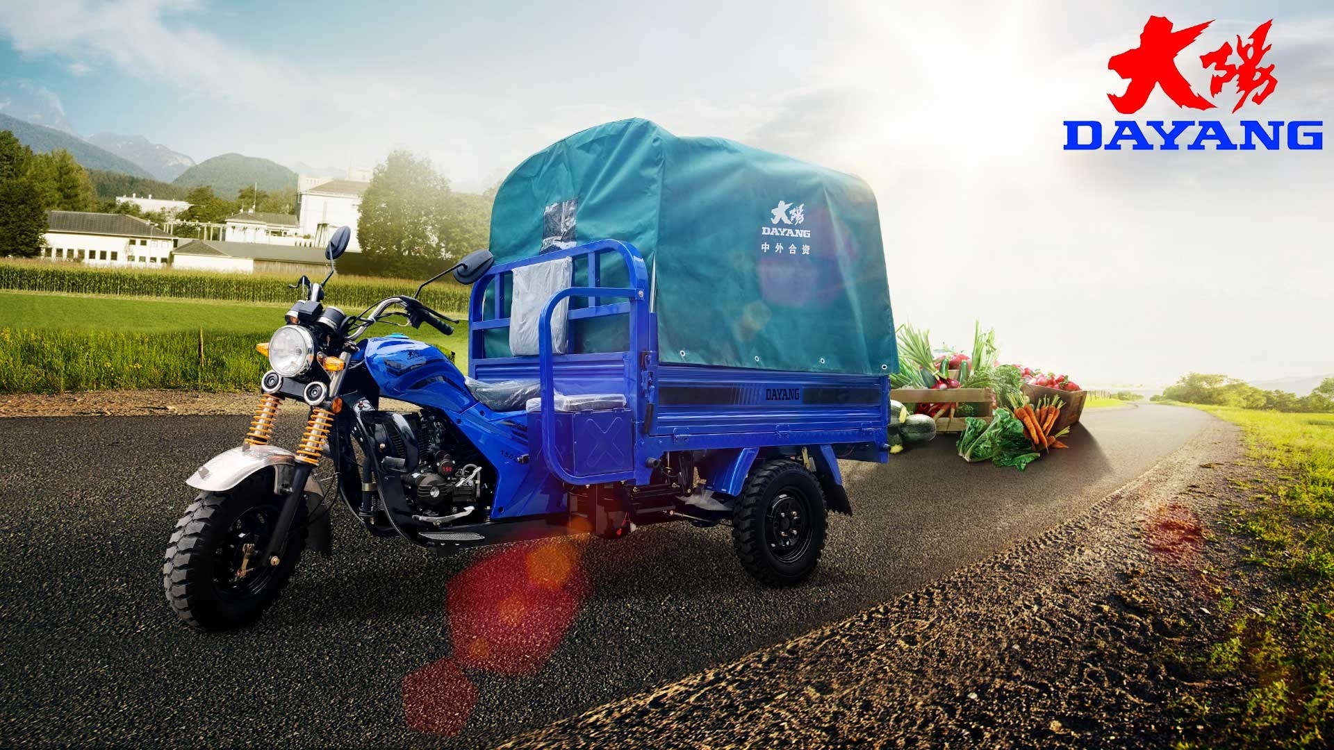 tricycle cargo truck