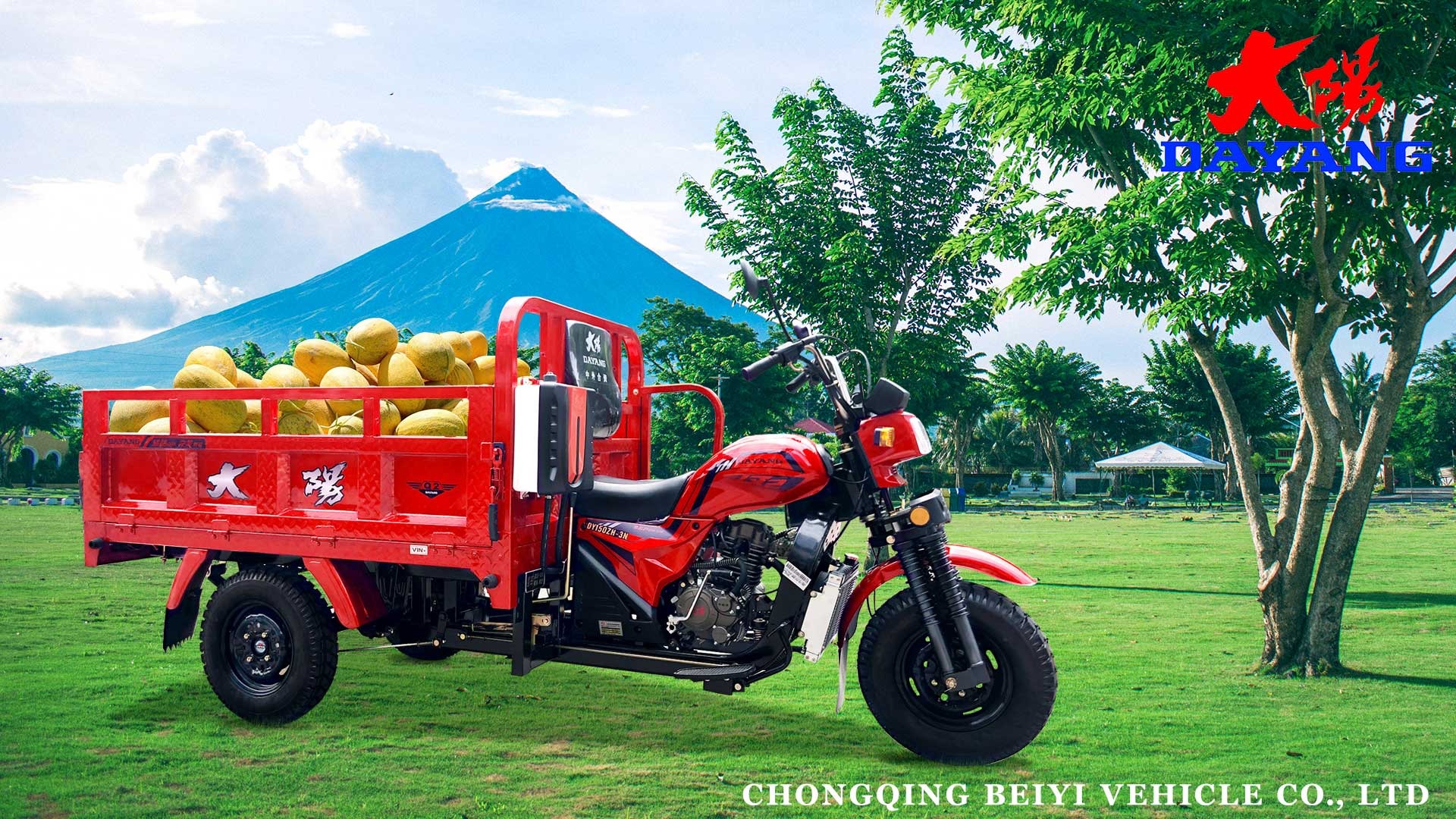 China Three Wheeler With Light Cargo Box