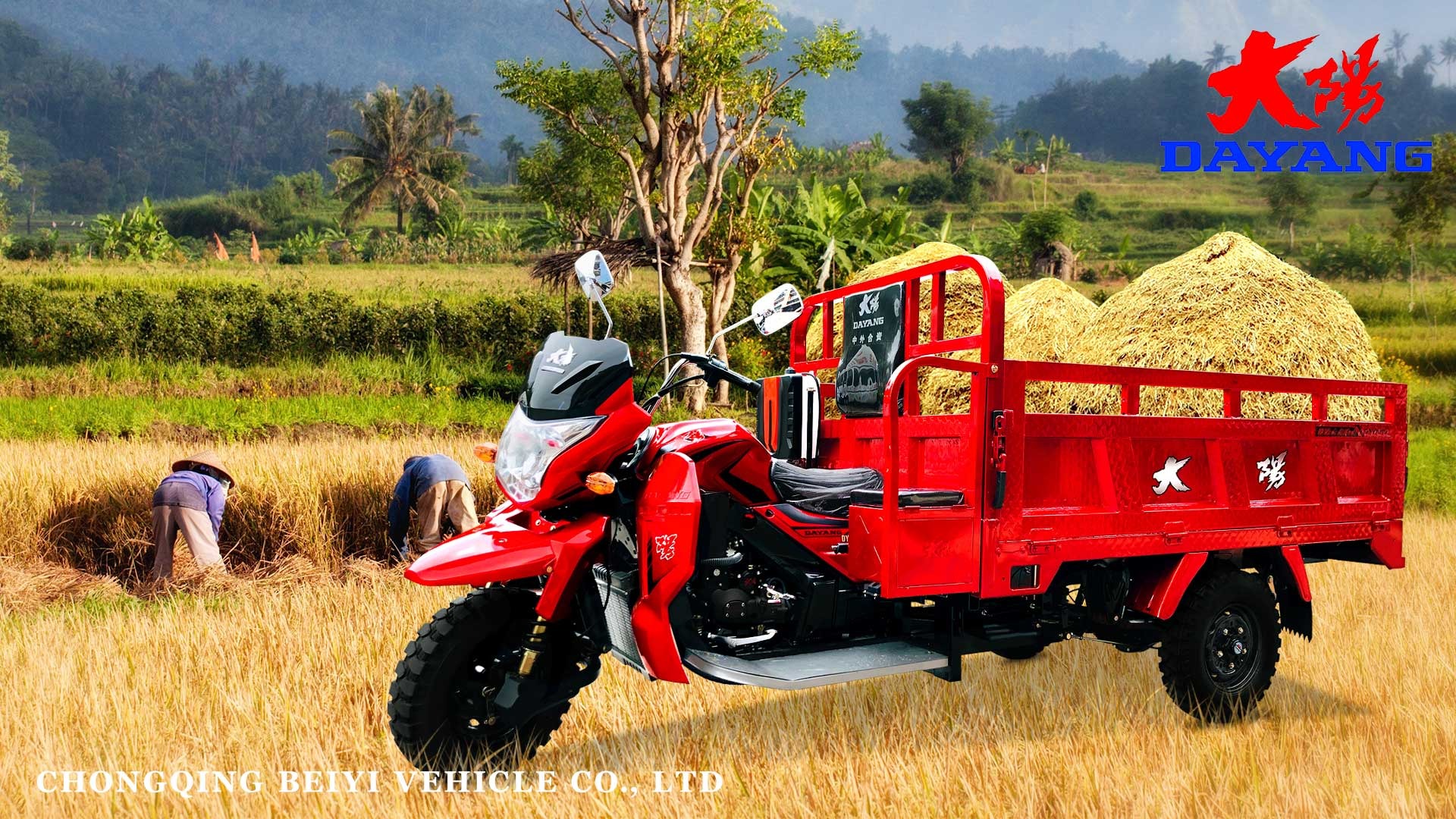 Motor Tricycle Trike With Cabin