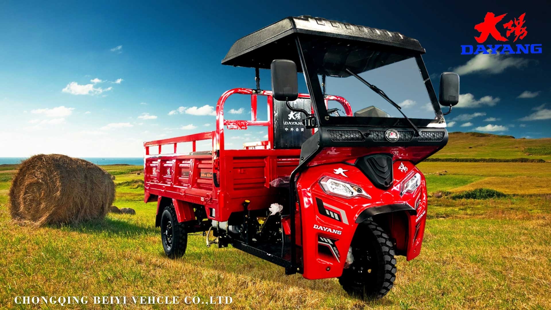 Light Loader China Three Wheeler Tricycle