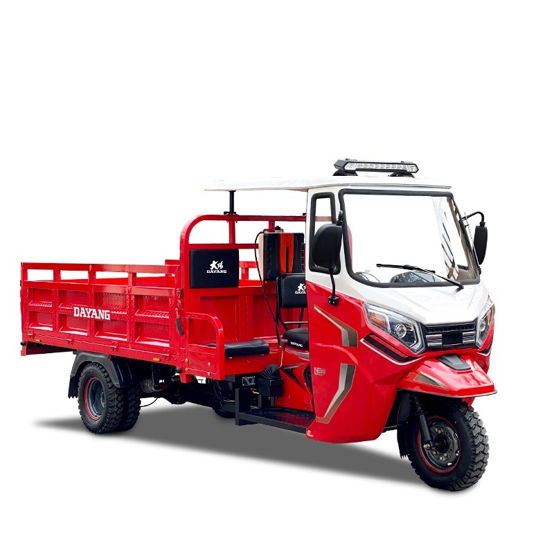 600KG Cargo Motor Tricycle