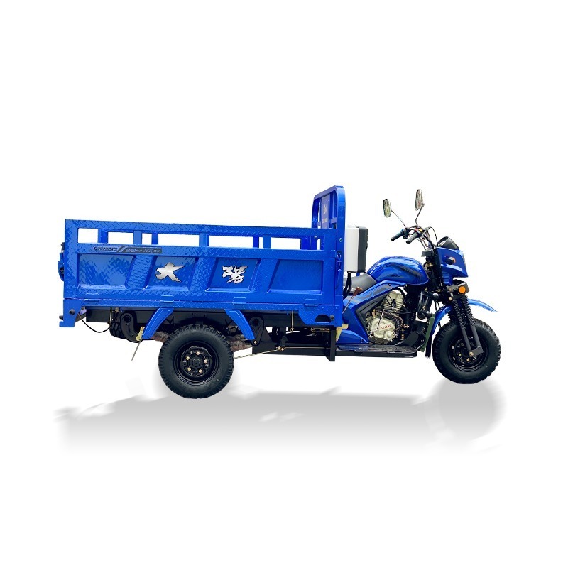 Q5 Africa hot selling 150cc 200cc 250cc cargo tricycle motorcycle