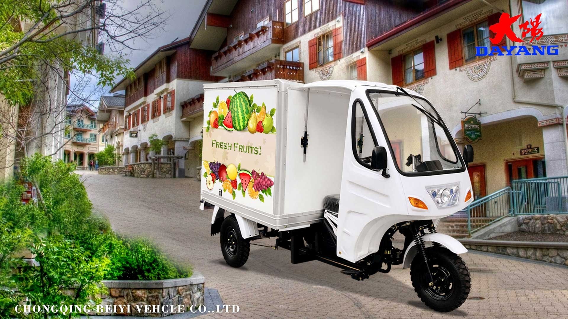 DY-B1 promotional mobile kitchen street food kiosk concession mobile bbq food trailer tricycle food cart