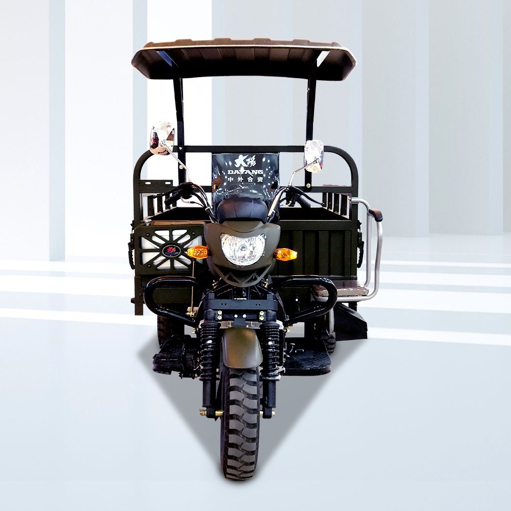 DY-H7 Africa hot selling and popular cargo tricycle models with powerful engine of 250cc