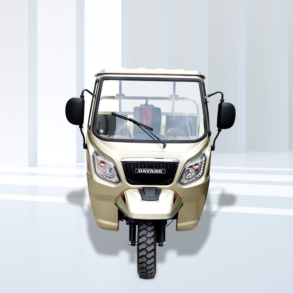 3 Wheel Adult Cargo Tricycle