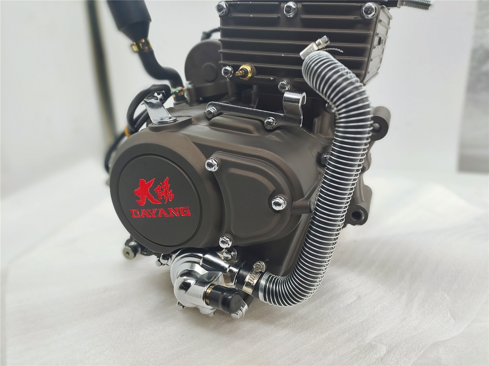 CG Cool 250cc DAYANG LIFAN Motorcycle Engine Assembly Single Cylinder Four Stroke Style China Origin Quality CCC