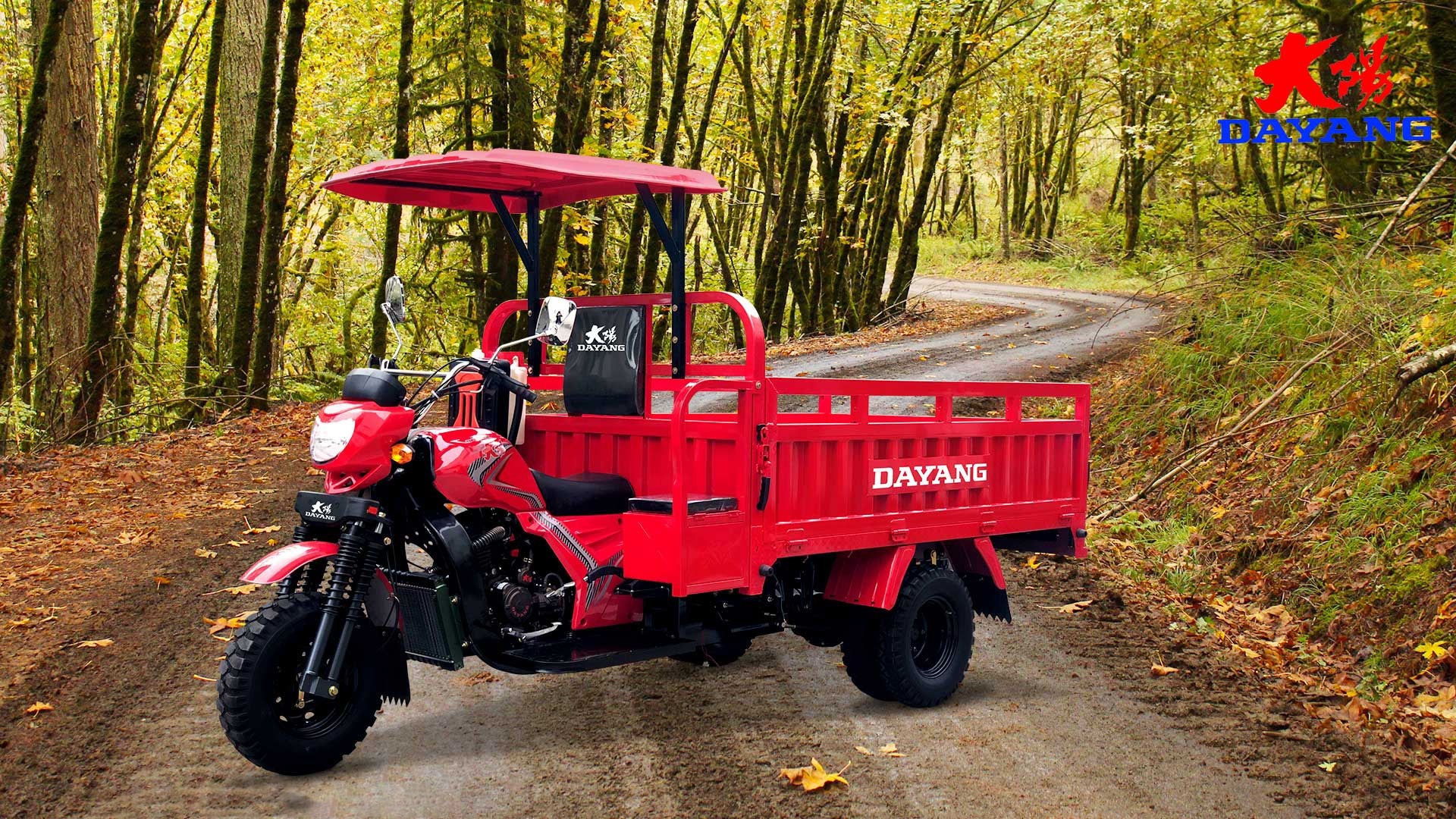 Hight Quality 350cc Motorcycle Tricycle 3Wheel heavy loading Cargo Tricycle for Adult Power Engine water-cooled Drum Brake