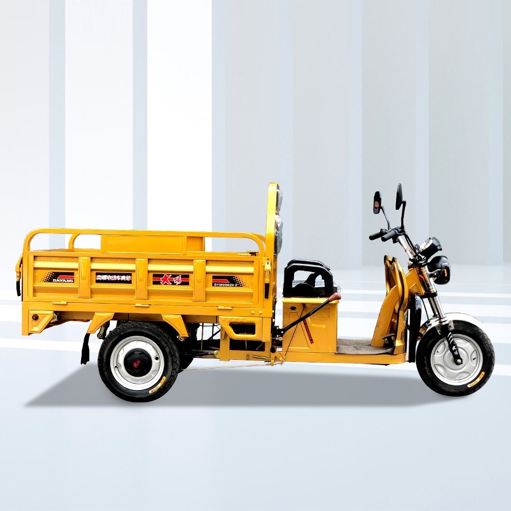 Egypt Cairo Alexandria Luxor Aswan 2021 Best Safety and Popular 72V 1000W Electric Adult Tricycle for Cargo Max Body Trip Power Rickshaw yellow Body OEM Lights