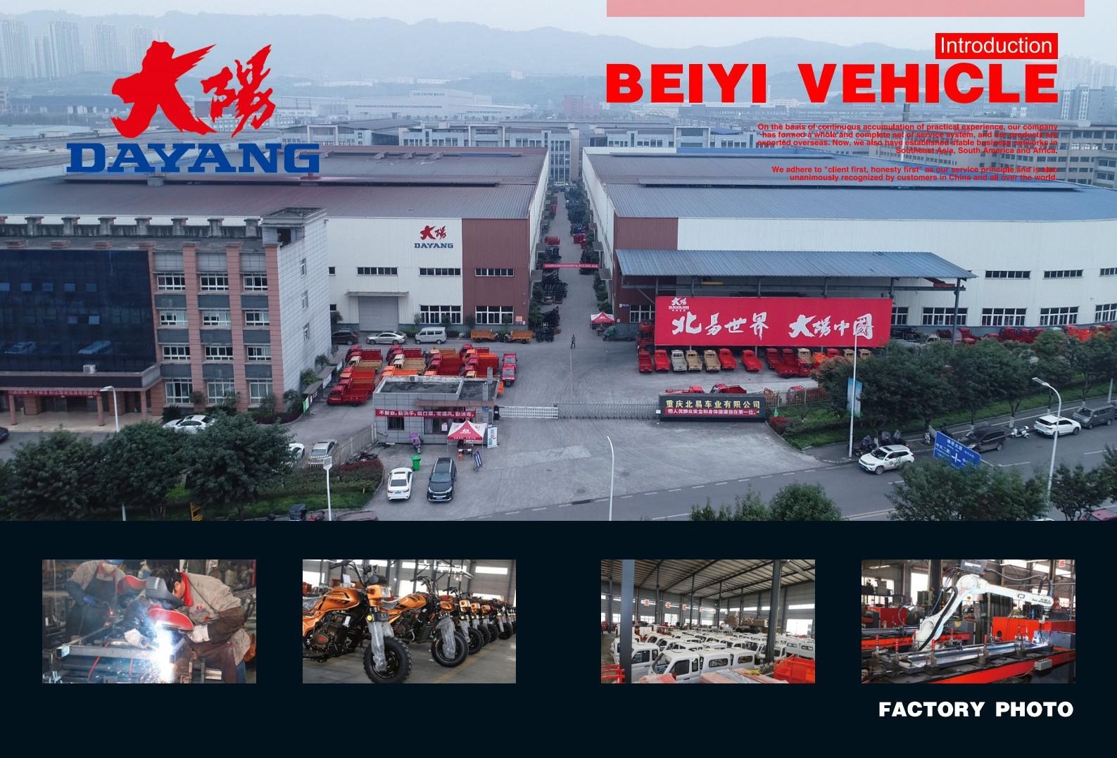 Hot selling ten model-DAYANG tricycle