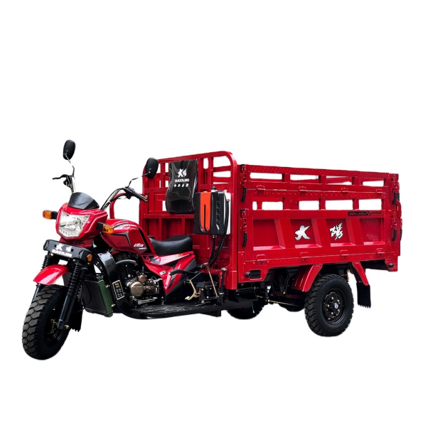 Sudan Khartoum 200cc three-wheel moto cargo