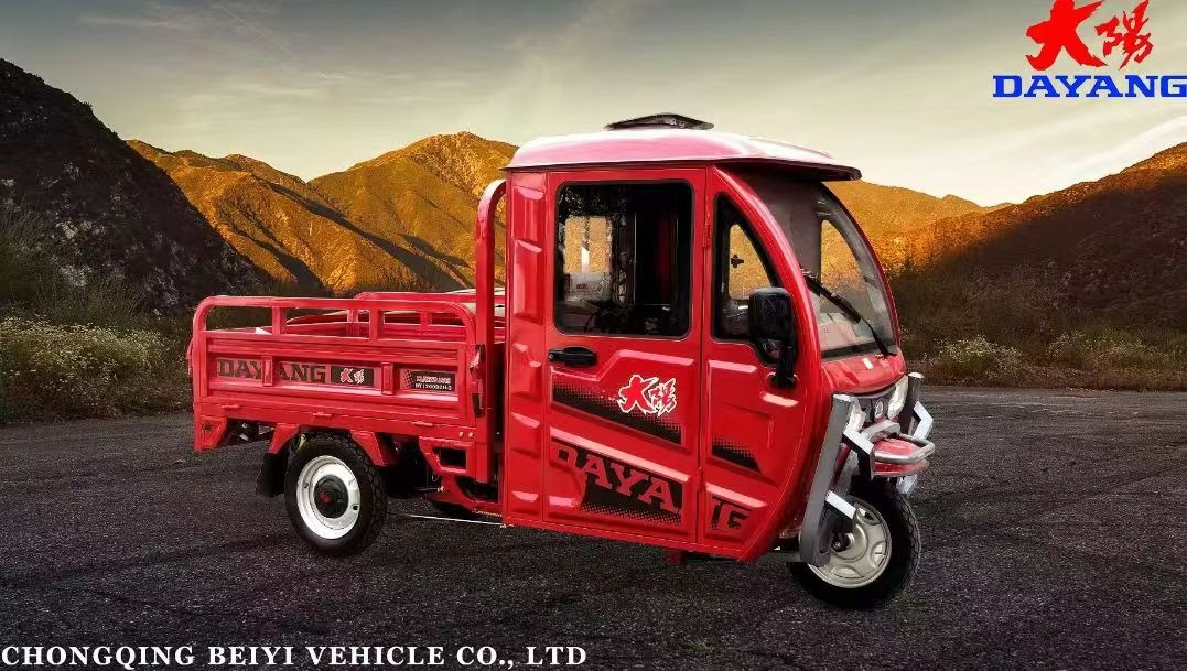 Egypt Cario Alexandria Ismailia Aswan Suez 2021 Best Price Safe and Popular 60V 1000W 1200W 1500W enclosed Electric Tricycle for Cargo DAYANG DY3-150 express delivery