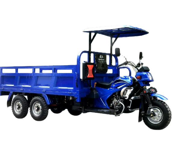 Egypt Cario Alexandia Luxor Hot Selling High Loading Wholesale high quality cheap cargo tricycle diesel engine for farm tricycle 3 wheel trike rickshaw