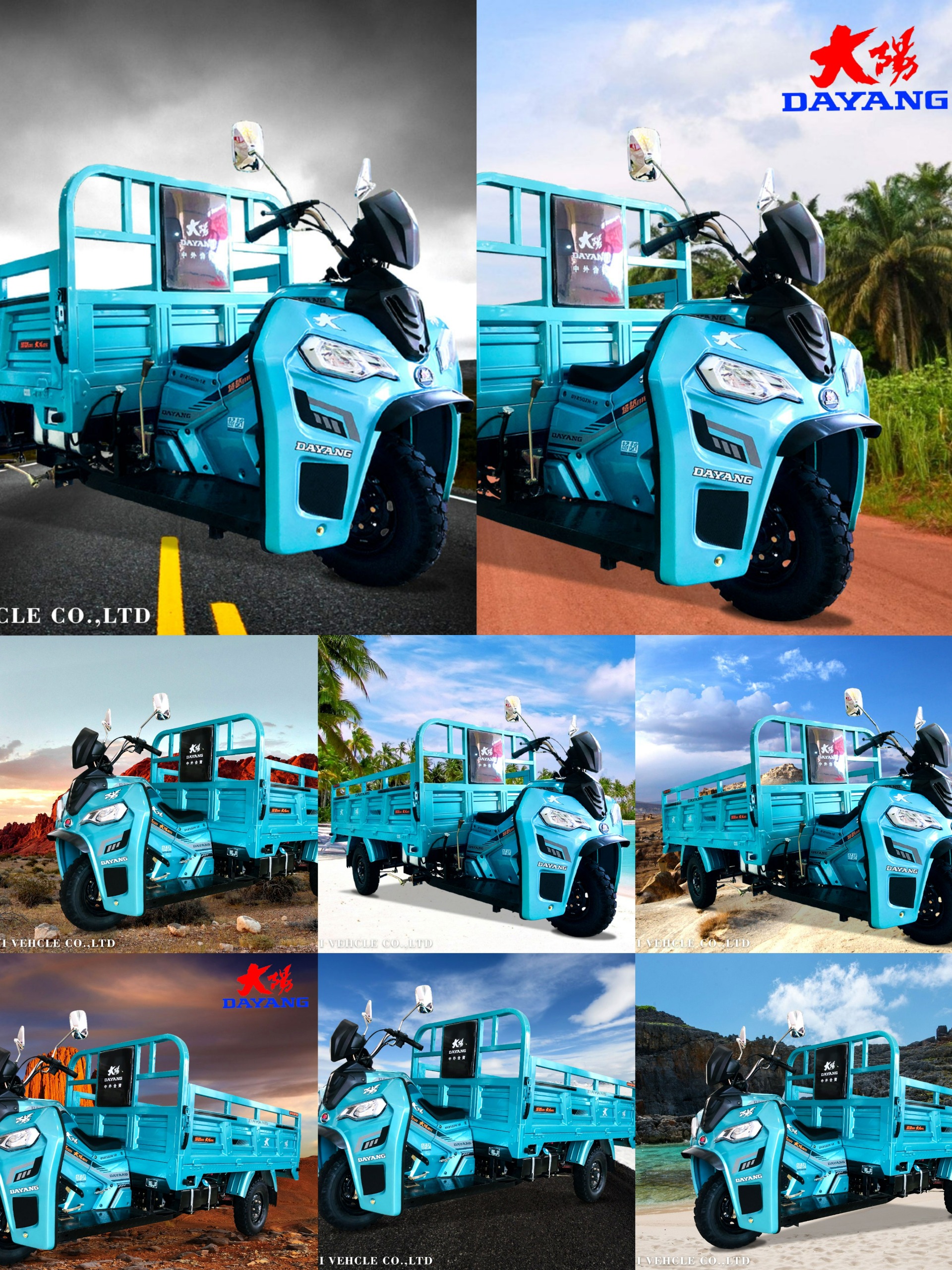 The petrol auto rickshaw The petrol auto rickshaw