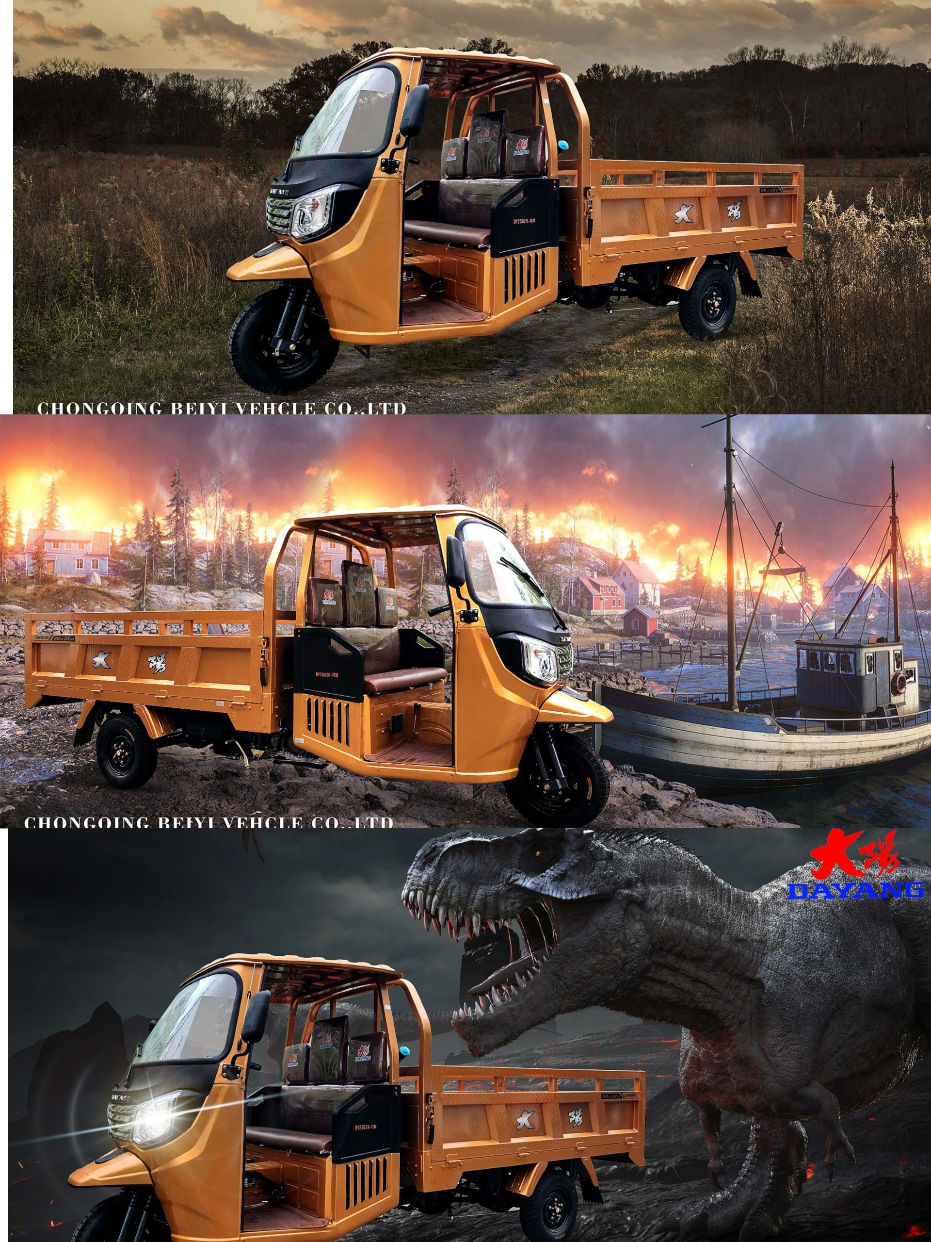 Petrol Rickshaw Loader