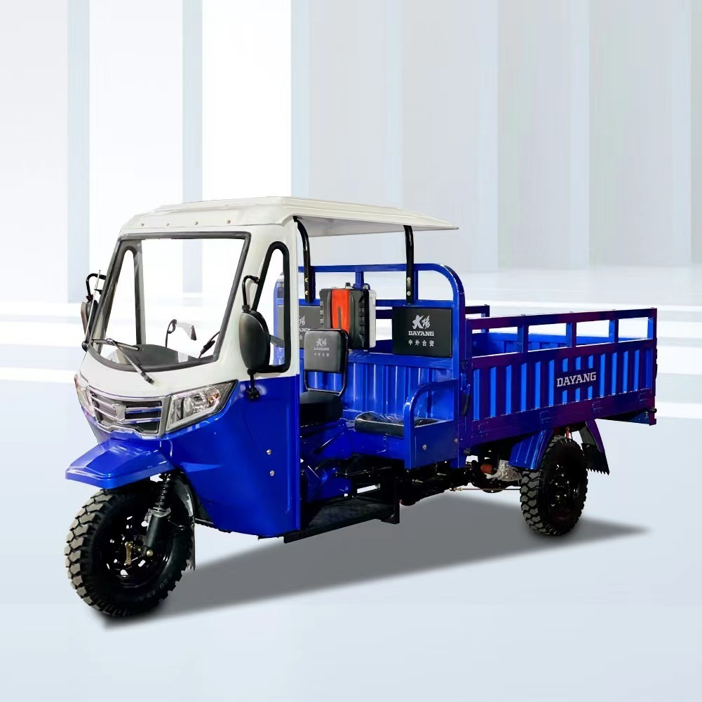 Electric tuk tuk car