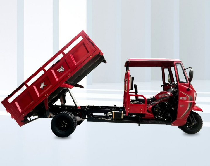 DAYANG Hot-selling Stable 3 wheeler Cargo Tuk-tuk