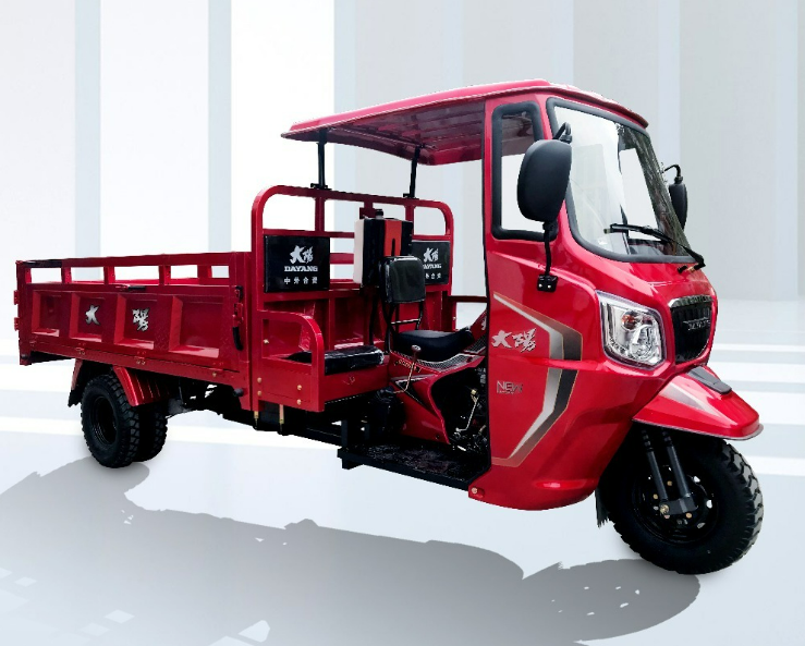 DAYANG Hot-selling Stable 3 wheeler Cargo Tuk-tuk