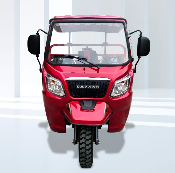DAYANG Hot-selling Stable 3 wheeler Cargo Tuk-tuk