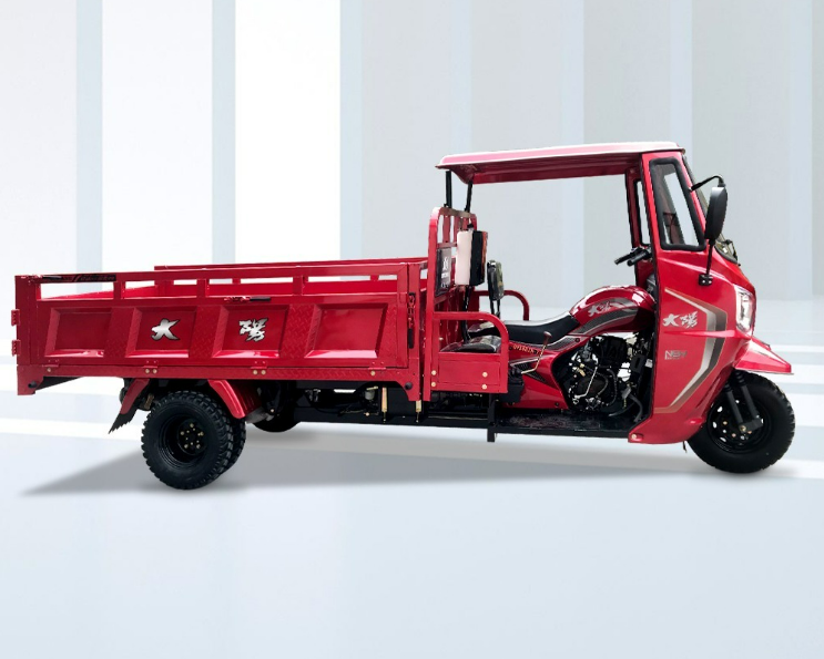 DAYANG Hot-selling Stable 3 wheeler Cargo Tuk-tuk