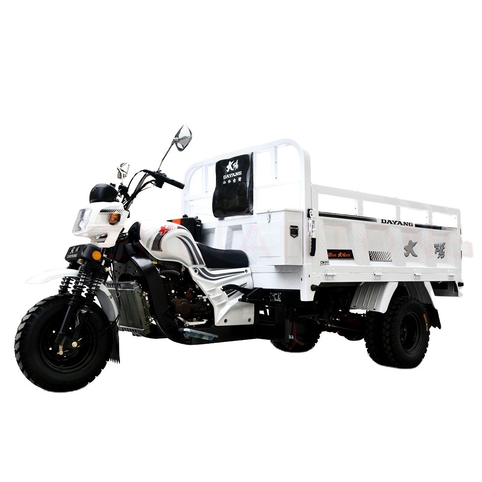 DAYANG Brand Chongqing new carry cargo motorcycle 3 wheels gas engine water-cooled tricycle truck sell in africa