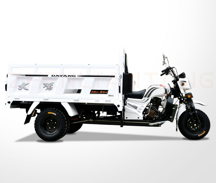 DAYANG Brand Chongqing new carry cargo motorcycle 3 wheels gas engine water-cooled tricycle